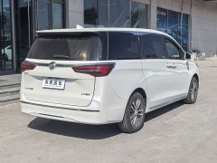 Buick GL8 ES Luxe Enjoyment Edition - ფოტო 8