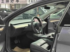 Tesla Model 3 Standard Range RWD Upgrade - ფოტო 10