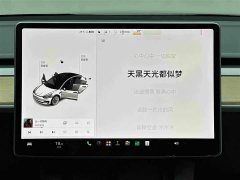 Tesla Model 3 Standard Range RWD Upgrade - ფოტო 13