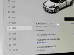 Tesla Model 3 Standard Range RWD Upgrade - ფოტო 14
