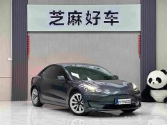 Tesla Model 3 Standard Range RWD Upgrade - ფოტო 3