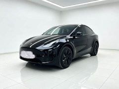 Tesla Model Y Rear-Wheel Drive - ფოტო 1
