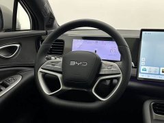 BYD Haima Sealion 06 2025 DM-i 205 Pilot Pro - ფოტო 11