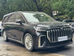 Voyah Lantu Dreamchaser 2022 Low Carbon Edition Family - ფოტო 3