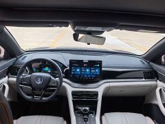 BYD Song Plus New Energy 2021 DM-i 110KM Flagship - ფოტო 6