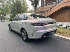 BYD Destroyer 05 Glory Edition DM-i 55KM Luxury - ფოტო 13