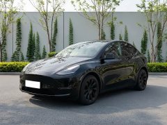 Tesla Model Y Rear-Wheel Drive - ფოტო 2