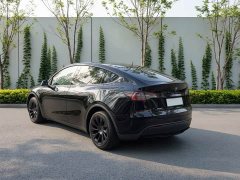 Tesla Model Y Rear-Wheel Drive - ფოტო 6