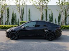 Tesla Model Y Rear-Wheel Drive - ფოტო 8