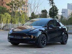 Tesla Model Y 2022 Rear-Wheel Drive - ფოტო 1
