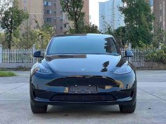 Tesla Model Y 2022 Rear-Wheel Drive - ფოტო 2