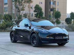 Tesla Model Y 2022 Rear-Wheel Drive - ფოტო 3
