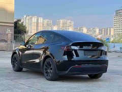Tesla Model Y 2022 Rear-Wheel Drive - ფოტო 6
