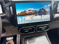 Leapmotor C11 2021 Executive 610 - ფოტო 12