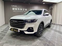 Haval H6 2021 National Trend Edition 1.5T Automatic Urban Version - ფოტო 1