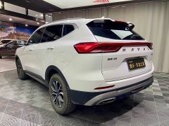 Haval H6 2021 National Trend Edition 1.5T Automatic Urban Version - ფოტო 5