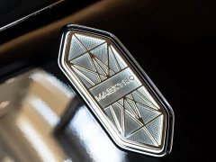 Li Auto V800 Edition - ფოტო 8