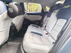 Geely Xingrui 2023 2.0T Diesel Premium - ფოტო 11