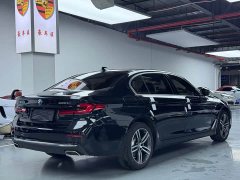 BMW 5 Series 530Li Leading Edition Luxury Package - ფოტო 19