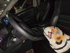 Toyota Wildland 2023 2.0L CVT FWD Leading Edition - ფოტო 16