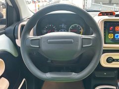 SAIC Corey Wei CLEVER 302km All-Purpose Edition - ფოტო 9