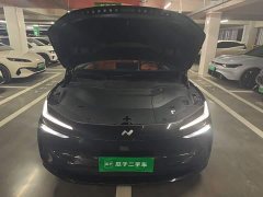 Nio Lerado L60 60kWh Rear-Wheel Drive - ფოტო 16