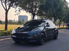 Tesla Model Y Long Range All-Wheel Drive - ფოტო 1
