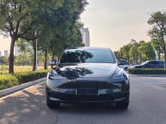 Tesla Model Y Long Range All-Wheel Drive - ფოტო 2