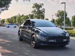 Tesla Model Y Long Range All-Wheel Drive - ფოტო 3