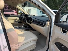Wuling Kaje 2020 1.5T CVT Premier - ფოტო 11