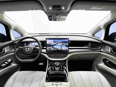 Denza BYD Denza D9 2022 DM-i 970 AWD Premium Edition - ფოტო 10
