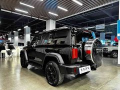 Tank 300 2.0T Conqueror - ფოტო 16
