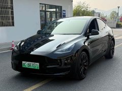 Tesla Model Y Facelift Long Range All-Wheel Drive 3D5 - ფოტო 1