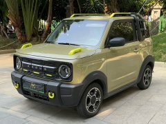 Geely Panda 210km Panda Knight - ფოტო 1