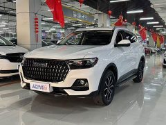 Haval H6 National Trend Edition 1.5T Automatic Urban Version - ფოტო 1