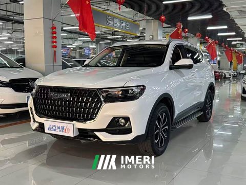 2023 Haval H6 National Trend Edition 1.5T Automatic Urban Version - ავტომობილი ჩინეთიდან