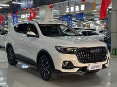 Haval H6 National Trend Edition 1.5T Automatic Urban Version - ფოტო 3