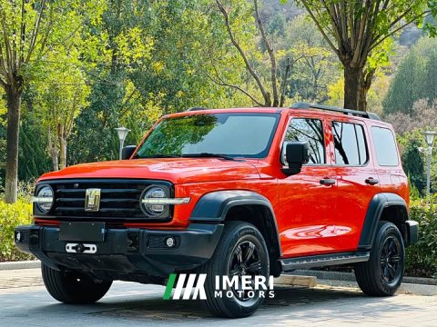 2022 Tank 300 2021 Off-Road Edition 2.0T Conqueror - ავტომობილი ჩინეთიდან