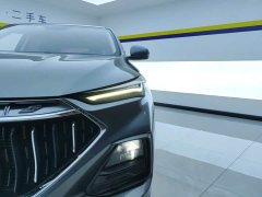 Changan Oushan X5 1.6L CVT Luxury - ფოტო 5