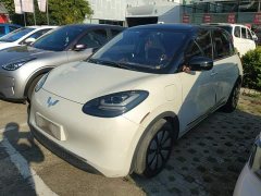 Wuling Binguo 333km Joy Edition - ფოტო 1