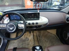 Wuling Binguo 333km Joy Edition - ფოტო 13