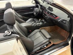 BMW 2 Series (Imported) 225i Four-Door Coupe M Sport Package - ფოტო 9