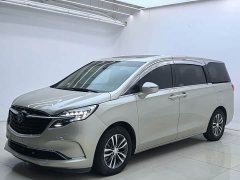 Buick GL8 ES Land Respect 653T Respect Enjoyment Edition - ფოტო 1