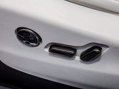 Denza BYD Denza D9 PIONEER Four-Seat Pioneer Edition - ფოტო 13