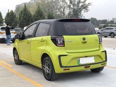 Flower Fairy 302km Fashion 31.4kWh - фото 7