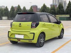Flower Fairy 302km Fashion 31.4kWh - фото 9