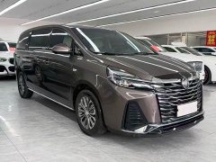 Buick GL8 Land Executive Cabin Premium - ფოტო 3