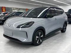 Wuling Binguo PLUS 510km Flagship Four-Seater - ფოტო 1