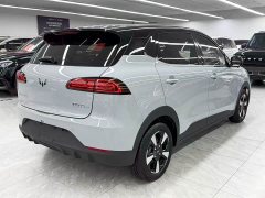 Wuling Binguo PLUS 510km Flagship Four-Seater - ფოტო 6