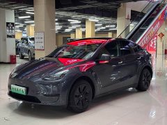 Tesla Model Y 2022 Facelift Rear-Wheel Drive - ფოტო 1